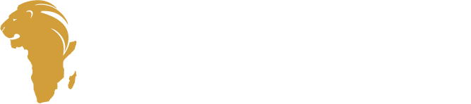 Africa Plus Partners